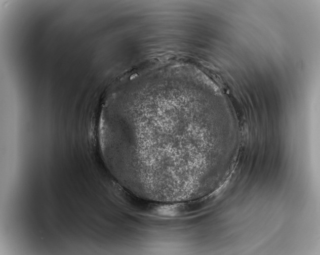 X0000093170178200710171235