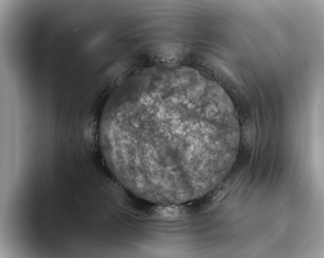 X0000093170181200710171235