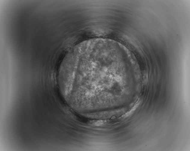 X0000093170182200710171235