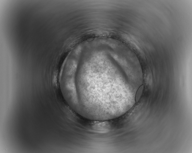 X0000093170185200710171235