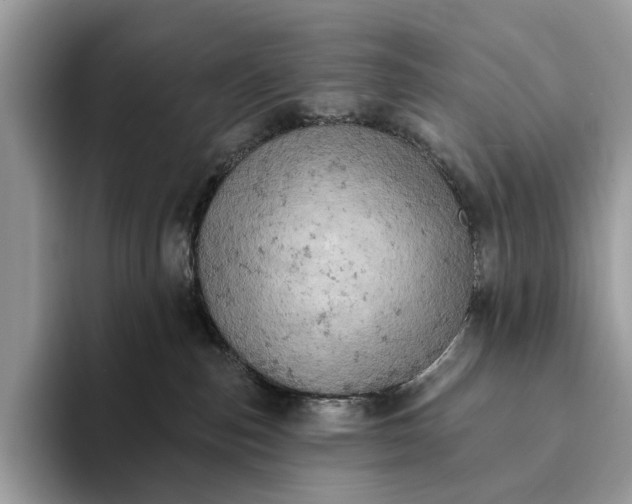 X0000093170187200710171235