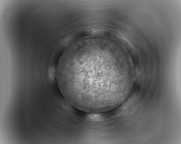 X0000093170189200710171235