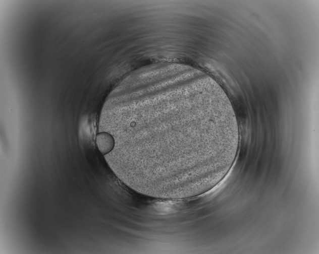 X0000093170190200710171235