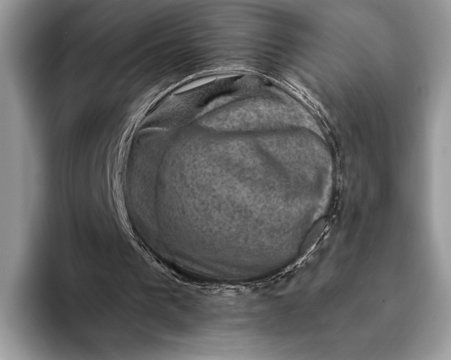 X0000093170193200710171234