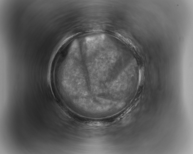 X0000093170195200710171234