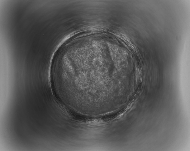 X0000093170196200710171234