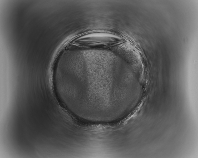 X0000093170197200710171234