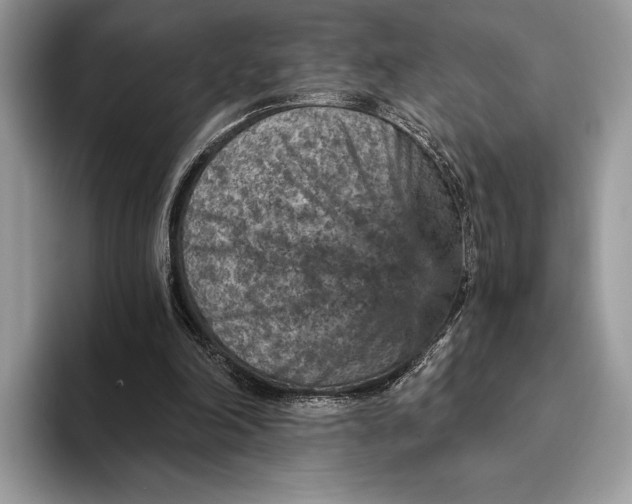 X0000093170198200710171234