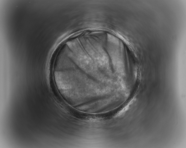 X0000093170199200710171234