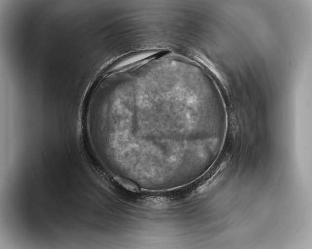 X0000093170203200710171234