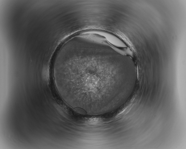 X0000093170204200710171234