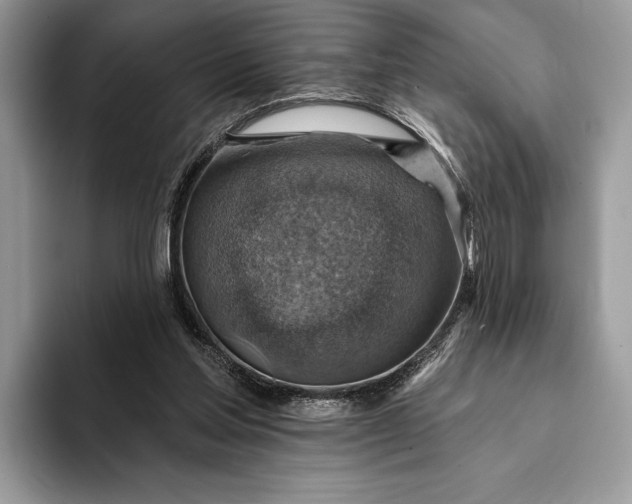 X0000093170205200710171234