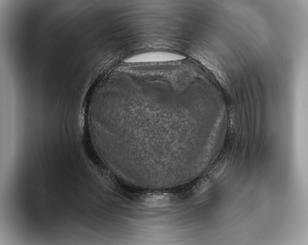 X0000093170206200710171234