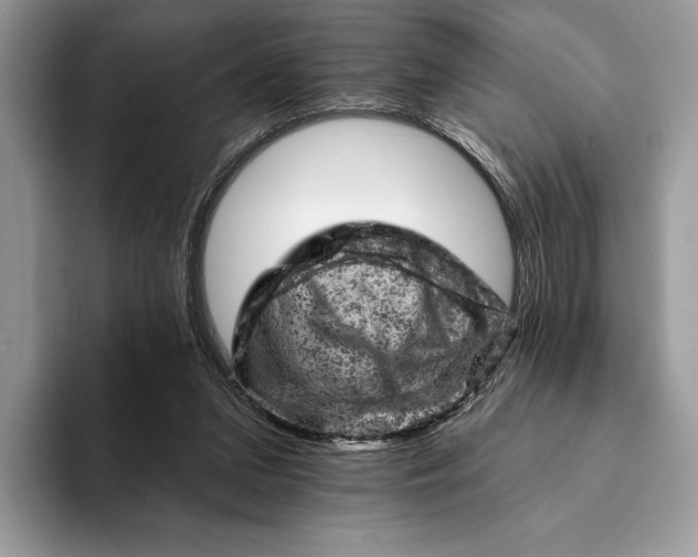 X0000093170207200710171234