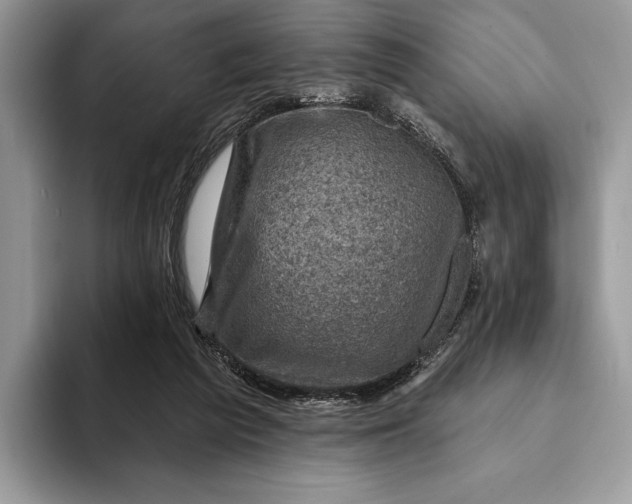 X0000093170209200710171234