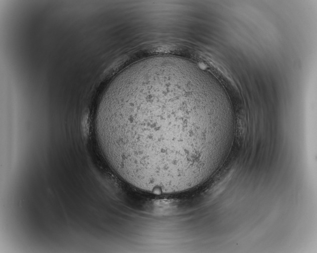 X0000093170216200710171234