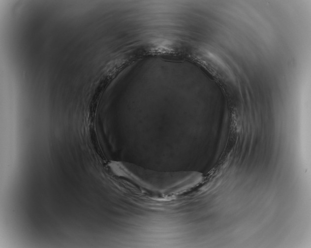 X0000093170223200710171234