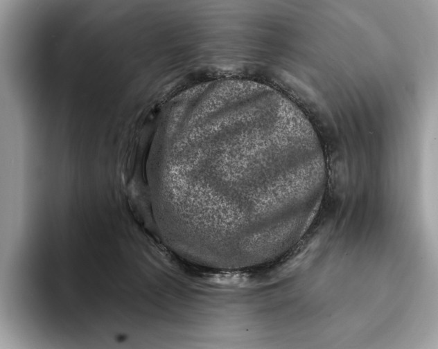 X0000093170225200710171234