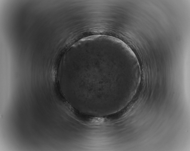 X0000093170227200710171234