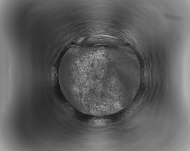 X0000093170228200710171234