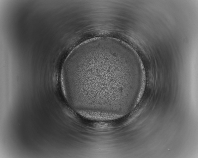 X0000093170230200710171234