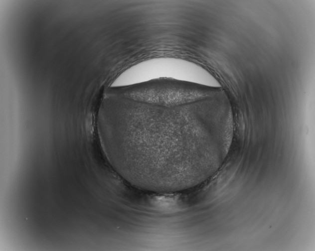 X0000093170232200710171234