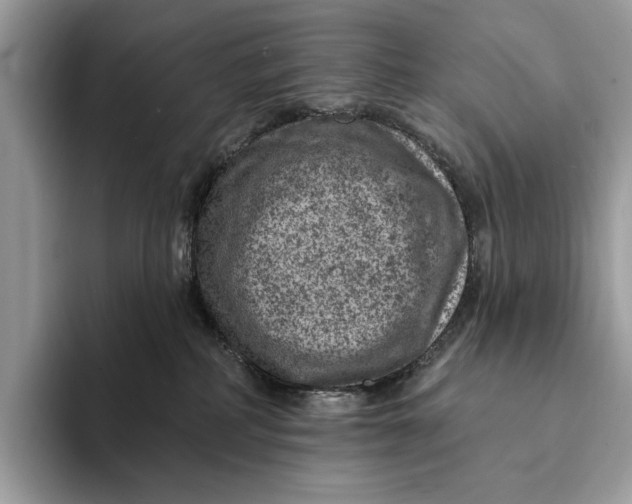 X0000093170234200710171234