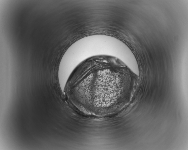 X0000093170235200710171234