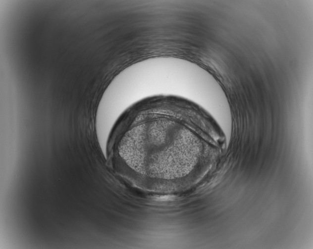 X0000093170237200710171234