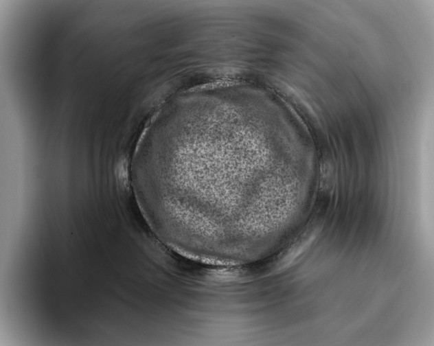 X0000093170238200710171234