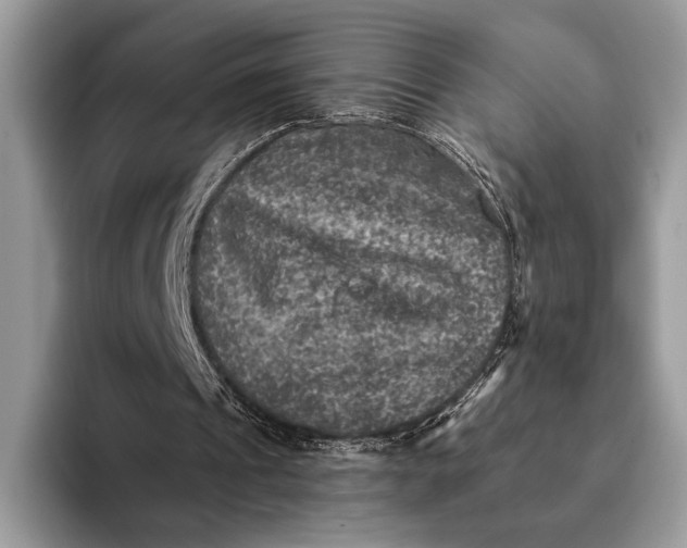 X0000093170241200710171233