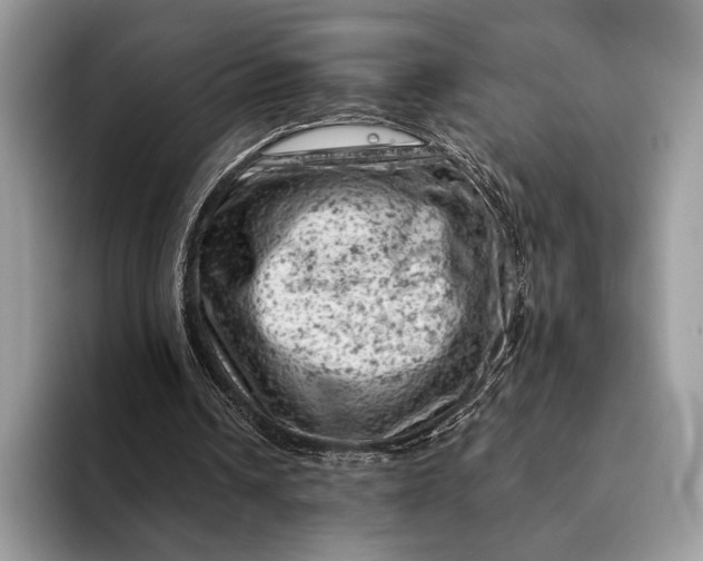 X0000093170242200710171233