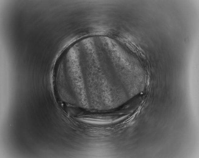 X0000093170244200710171233