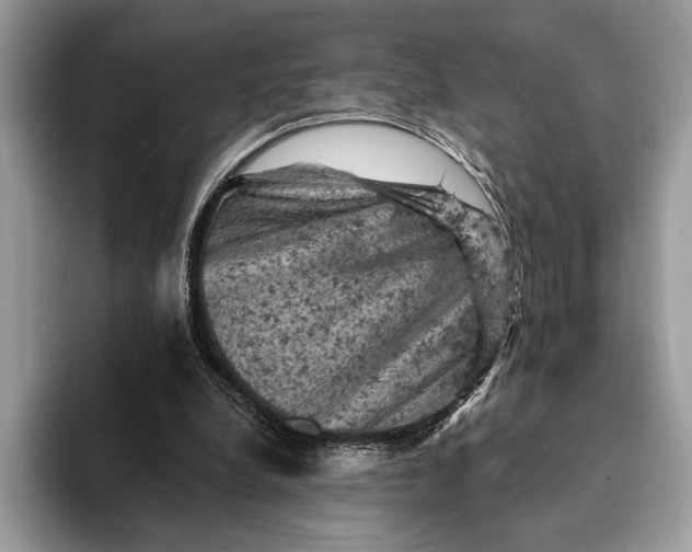 X0000093170248200710171233