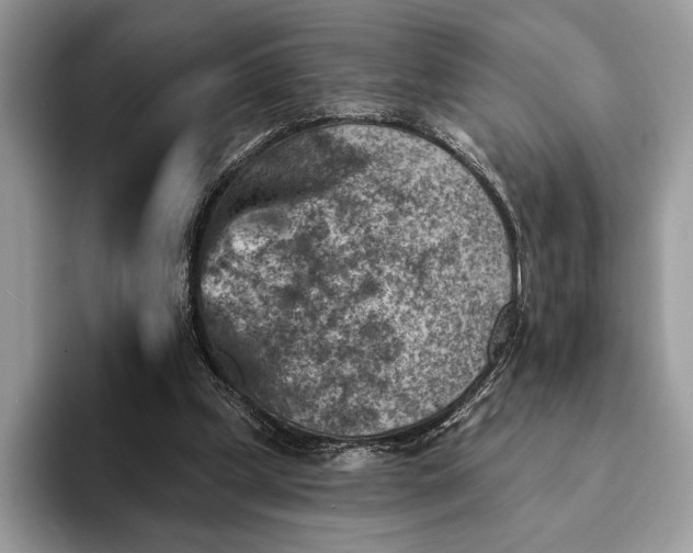 X0000093170249200710171233