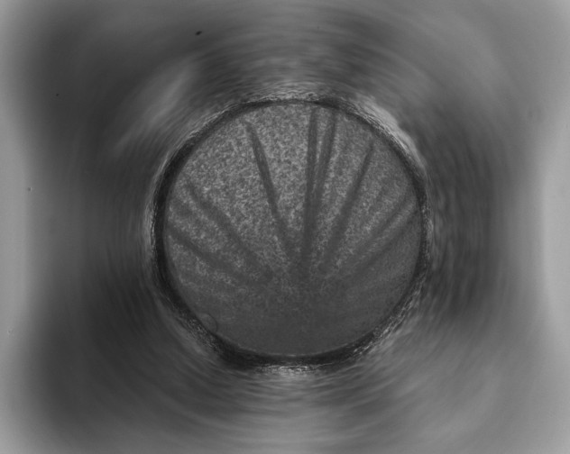 X0000093170250200710171233