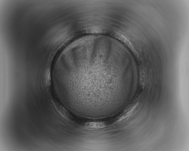 X0000093170251200710171233