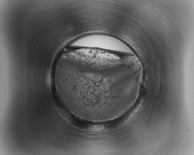 X0000093170252200710171233