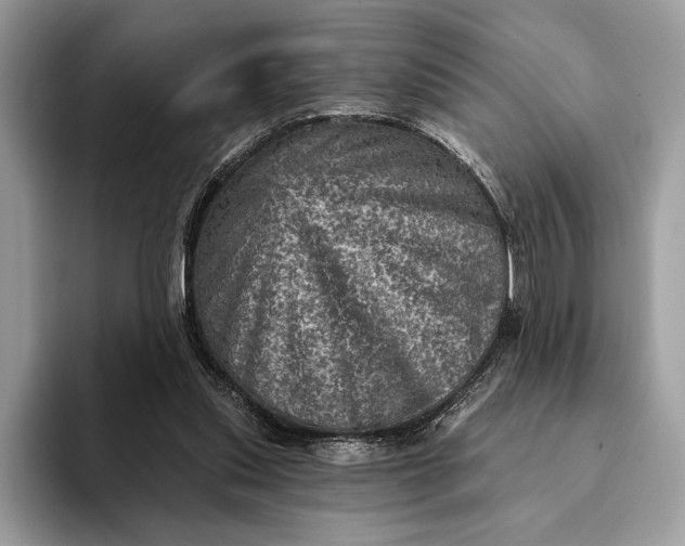 X0000093170253200710171233