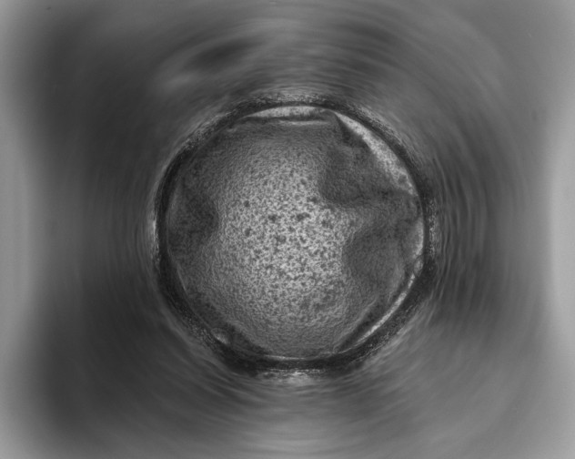 X0000093170254200710171233