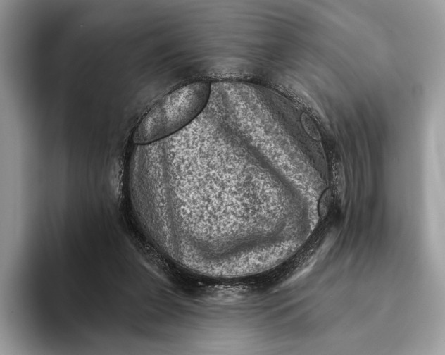 X0000093170255200710171233