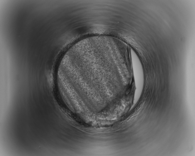 X0000093170256200710171233