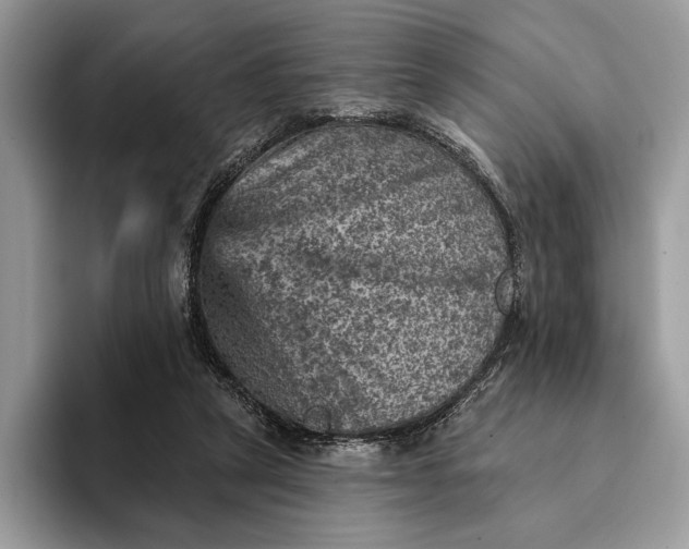 X0000093170257200710171233