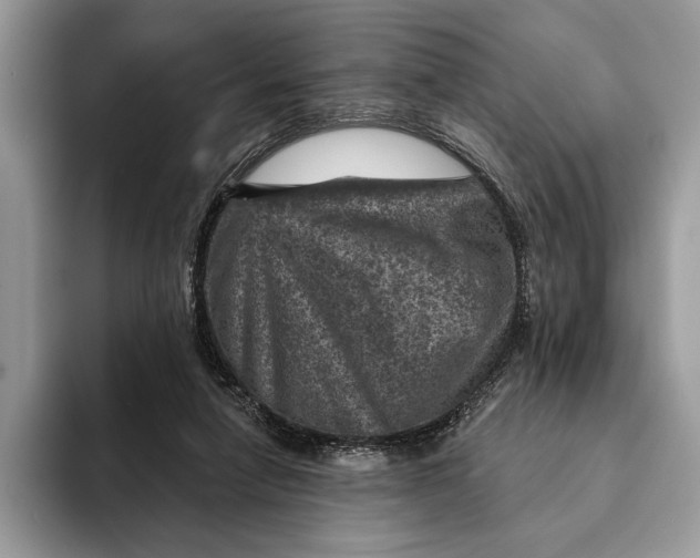 X0000093170258200710171233