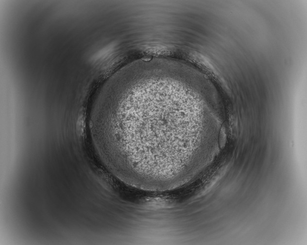 X0000093170259200710171233