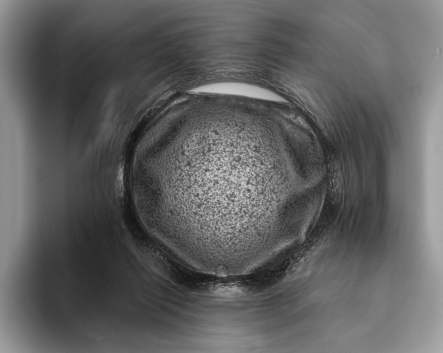 X0000093170262200710171233