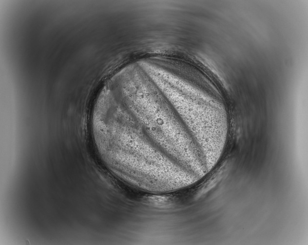 X0000093170265200710171233