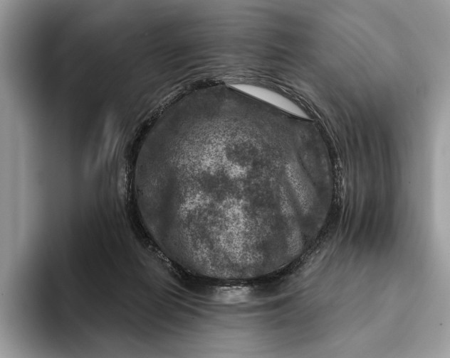 X0000093170266200710171233