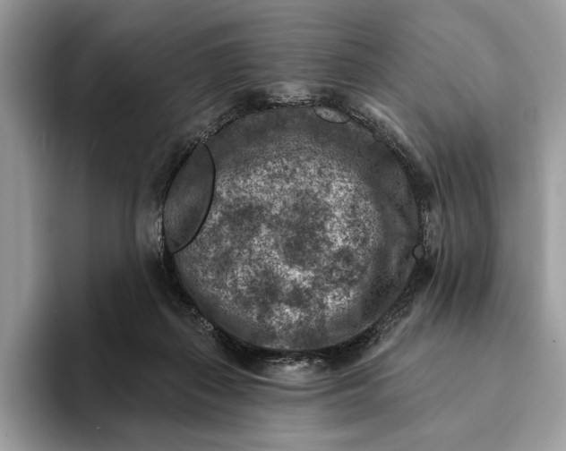 X0000093170267200710171233