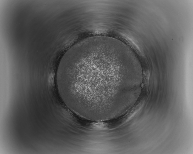 X0000093170269200710171233